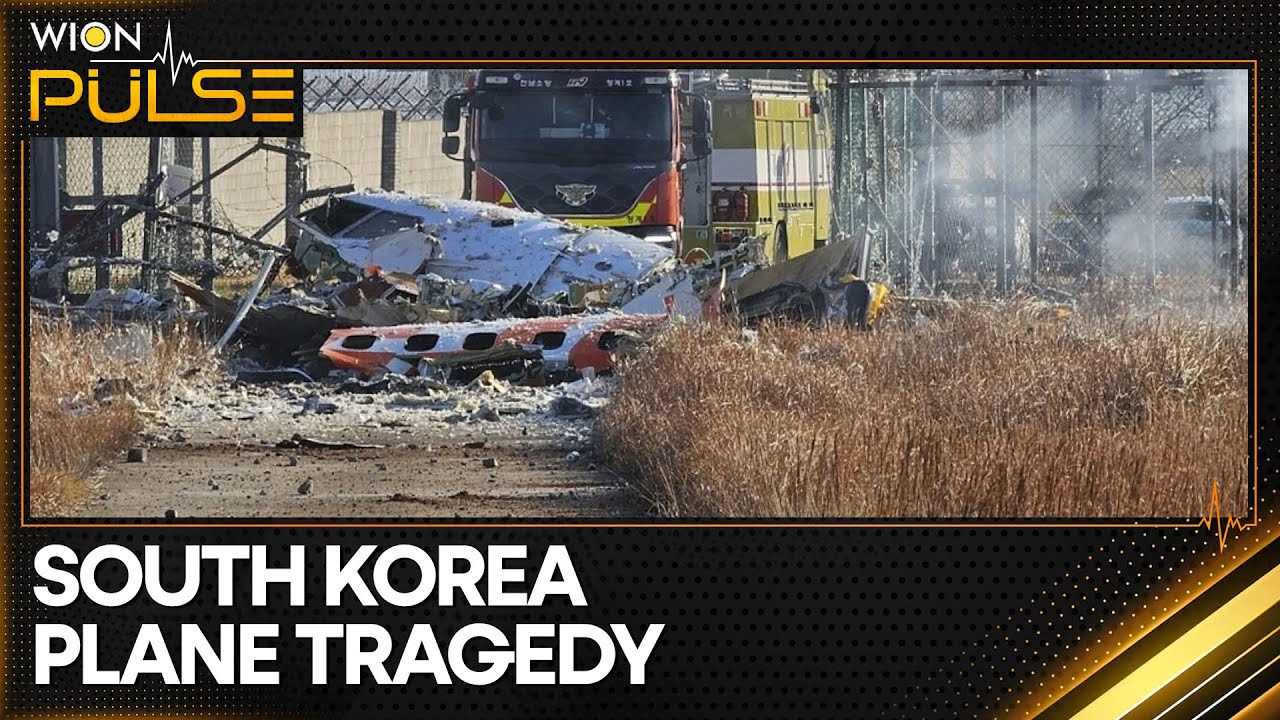 South Korea plane tragedy: 179 dead | World News | WION Pulse