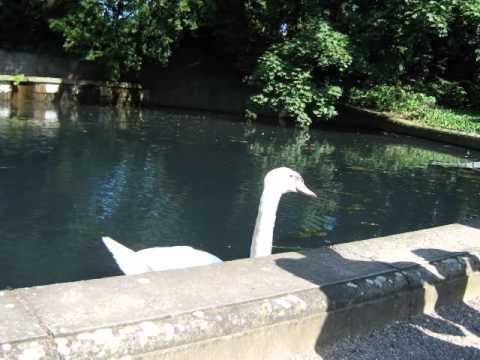 BTM Squad -  Düsseldorf Düsseldorf