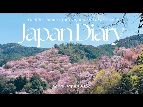 3days in Nara, Kyoto & Tokyo | Exploring YOSHINO (home of all Japanese Sakura trees) and local Japan