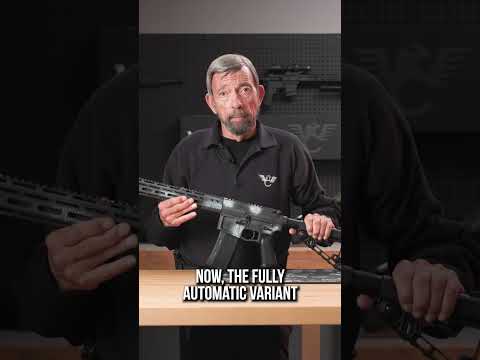 Is it too expensive?  The Wilson Combat Protector Series AR Carbine