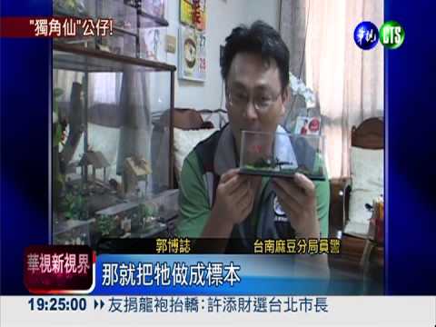 標本活起來! 獨角仙變玩具公仔