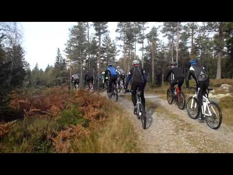Lammhultcyklisterna -Älgjakta 9 Okt 2011 -02