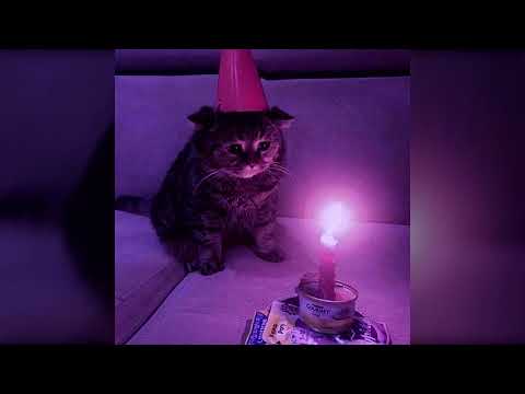 [FREE FOR PROFIT] Sqwore x 3TERNITY x 17 SEVENTEEN hyperpop type beat | Hyperpop Type Beat 2022