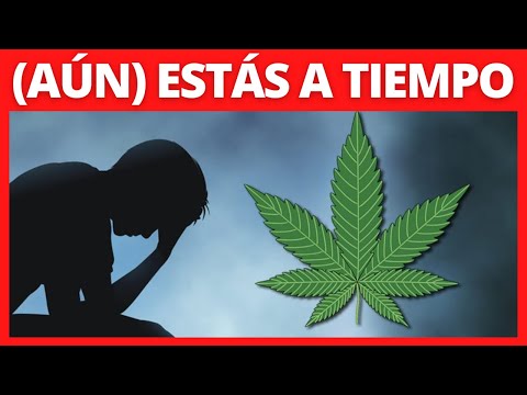 ✅ 10 Reasons to Quit Smoking Marijuana ❌🌿【How to Quit Cannabis】