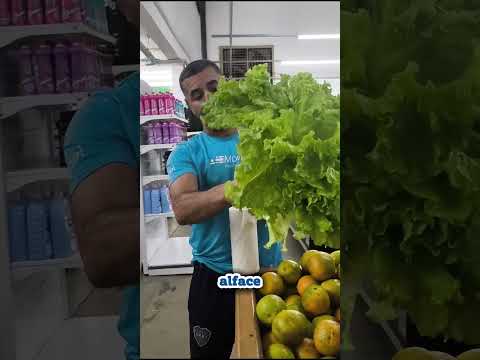 Alface gigante...... #carrancas #minasgerais #foryou #casal #fy #fypage #kombi #kombihome