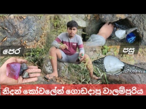 කෝවලේන් ගොඩගත් අමිල වාලම්පුරිය සහ නිල් මැණික් 💎 ඔබගේ වත්තෙත් මෙවැනි ස්ථාන තිබිය හැක  දැනුවත්ව වෙන්න