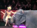 Ringling Bros And Barnum Bailey BARNUM 200