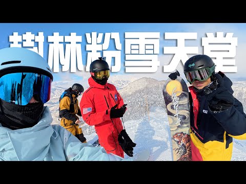 這才是滑雪快樂的地方！斑尾高原