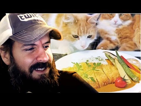 COMO ELE FAZ ISSO? - GRATIS150ML REACT JAPANESE KATSU CURRY