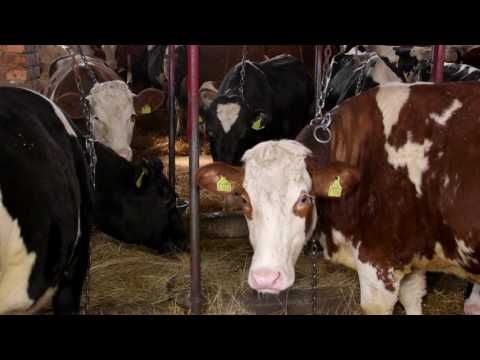 Zemlja zdrave hrane ep. 20 04.05.2017.