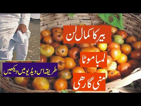 Serf 1 Goli khao - Timing itni k Biwi Khush - Maza he Maza by Zee Health Tips|desi health tips