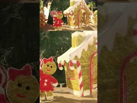 🎄Asi se vive la navidad en Arjona Bolívar. #navidad #lucesdenavidad #familia