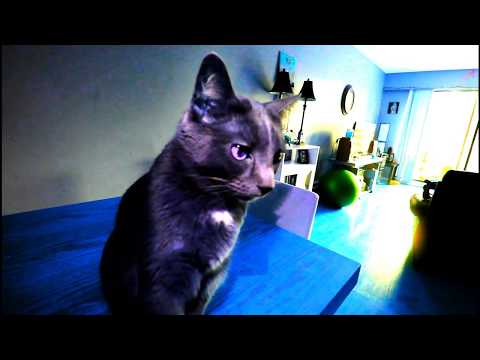 RcThaHazard - "Rated R" (Remix) (Official Music Video)