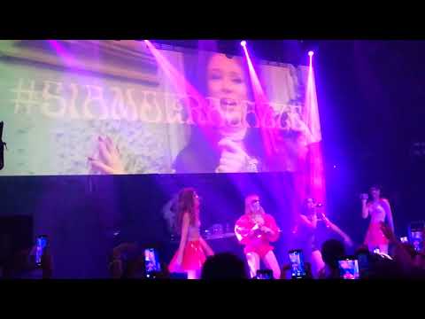 M¥SS KETA featuring La Niña - Le ragazze di Porta Venezia LIVE a NAPOLI