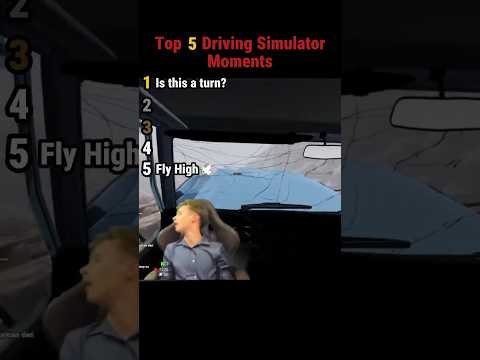Top 5 Driving Simulator Moments 🚗💥