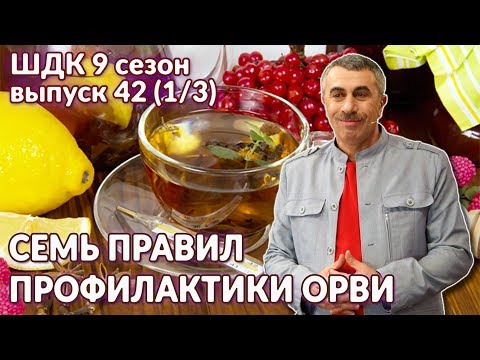 Семь правил профилактики ОРВИ - Доктор Комаровский