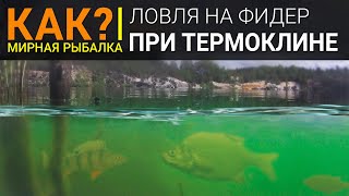 Что такое термоклин в рыбалке