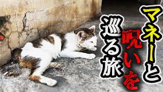 プノンペン 研究所の廃墟に住みついた人々