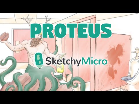 Proteus - SketchyMicro / Sketchy Medical (USMLE Step 1)