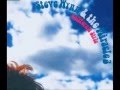 Steve Wynn & The Miracle 3 - Survival Blues