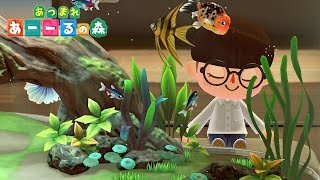 【あつ森】100%完成した水族館の水槽に入ってみた？【あつまれどうぶつの森】