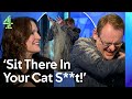 Sean Lock Causes Cat Chaos 8 Out Of 10 Cats Does Countdown Channel 4 Entertainment