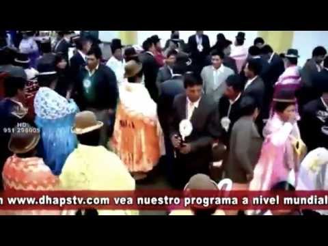 los shapis en vivo 2014