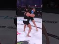 Bellator 290 Top Undercard Finishes