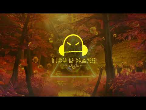 INNDRIVE, GUI2IN - Hollaback Girl (tuber.bass)