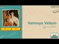 Vaimaye Vellum Villadhi Villain Sathyaraj Nagma Goundamani Vidyasagar
