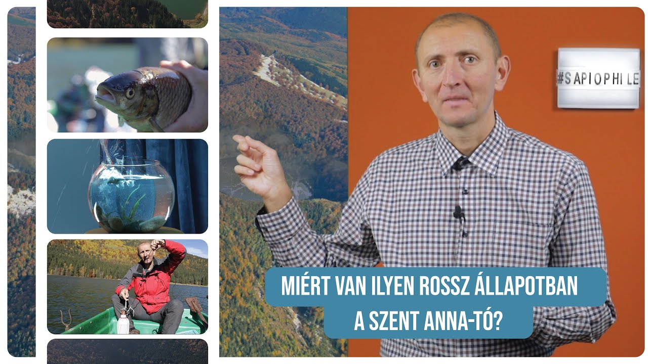 Sapiophile: Eddigi legrosszabb állapotban a Szent Anna-tó