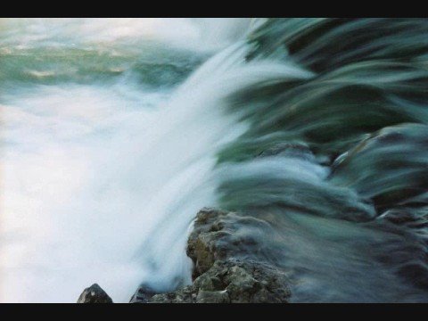 A Tribute to Richard Wright