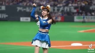 きつねダンス可愛すぎ。#かわいい #おすすめ #日本ハム #日本ハムファイターズ #きつねダンス #キツネダンス #えろい#shorts
