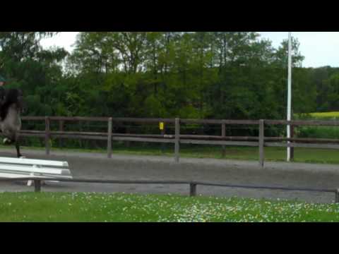 Kronshof-special - T1 & F1 - www.isibless.de