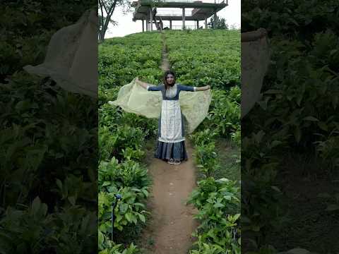 Arunita Kanjilal || Maula Song || BTS || Dabbu bhai #shortsviral #youtubeshorts #nature #nature