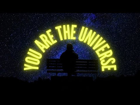 You Are The Universe - Alan Watts