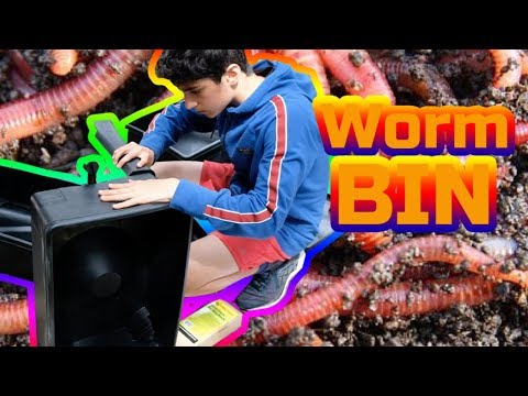 BUILD A WORM COMPOST BIN | 2019 | How To