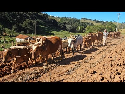 MULTIRÃO PRA ARAR TERRA EM BRASOPOLIS MG
