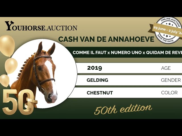 Cash van de Annahoeve Z