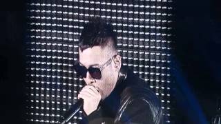 [Fancam]050314 Epik high - Love love love YGFamConcert @Tokyo Dome
