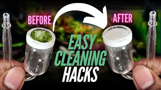 How to Clean Your CO2 Diffuser in Just 2 Minutes!✅Remove Algae Stains Fast.