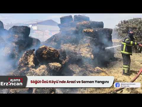 Söğüt Özü Köyü'nde Arazi ve Saman Yangını