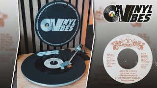 Stephen Marley &amp; The Melody Makers - Lord We A Come [Reggaeville Vinyl Vibes #78]