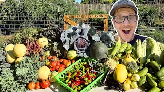 AMAZING Backyard Garden Harvest And What We Do With It!