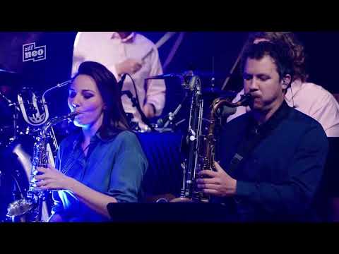 F-Zero Big Blue - Rundfunk-Tanzorchester Ehrenfeld