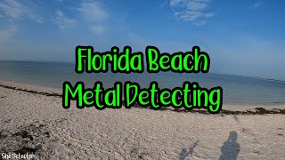 Florida Beach Metal Detecting