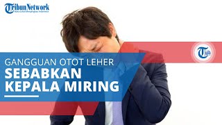 Tortikolis, Gangguan Otot Leher yang Menyebabkan Penderitanya Memiliki Kepala yang Miring