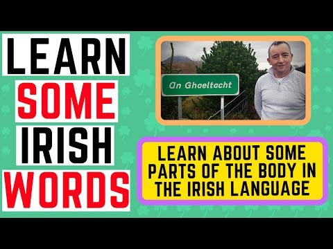 Different Parts of the Body in Irish