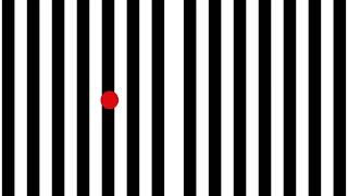 Optokinetic Training: Horizontal Converging - VOR x2 Slow
