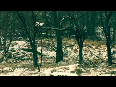 Exit North Session 2018